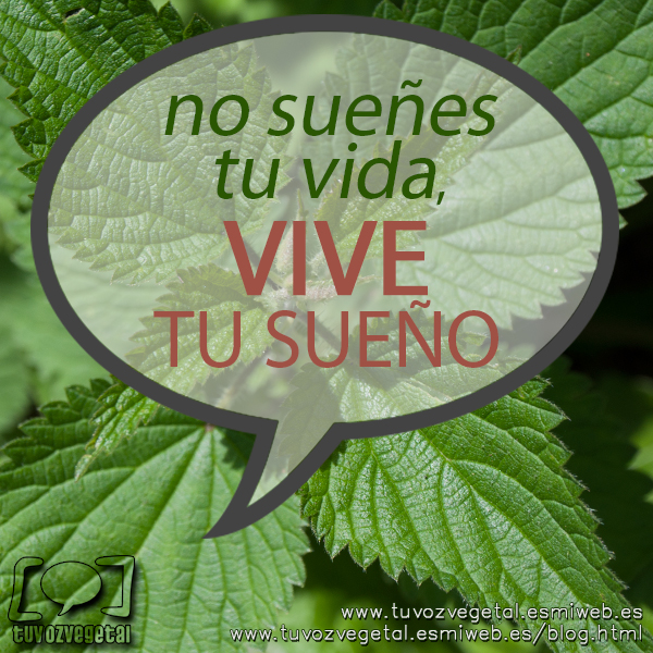 f1-tuvozvegetal-blog.jpg