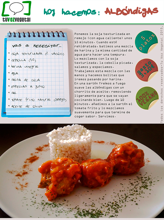 albondigas-tuvozvegetal-blog.jpg